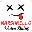 Marshmallow song video status