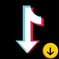 Video Downloader for Tiktok