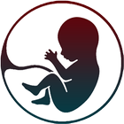 Pregnancy Journey icône