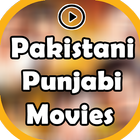 Pakistani Punjabi Movies icône