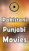 Pakistani Punjabi Movies स्क्रीनशॉट 1