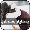 Yeh Galiyan Yeh Chobaray-Faiza Iftikhar APK