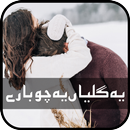 Yeh Galiyan Yeh Chobaray-Faiza Iftikhar aplikacja