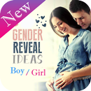 Gender Reveal Ideas APK