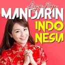 Lagu Pop Mandarin Indonesia APK