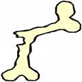 Bone Crack Sound