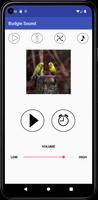 Budgie Sound スクリーンショット 3