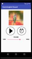 Hummingbird Sound captura de pantalla 2