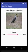 Lapwing Sound Ekran Görüntüsü 1