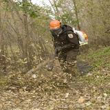 Leaf Blower Sound Zeichen