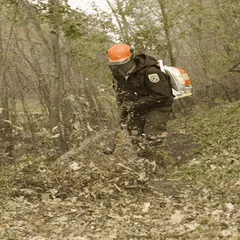 Leaf Blower Sounds