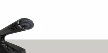Microphone Feedback Sound