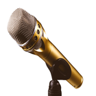 Microphone Feedback Sound icône