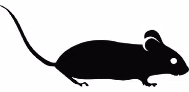 Mouse Sound