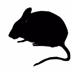 Mouse Sound XAPK download