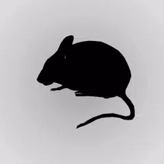 Mouse Sound