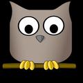 Owl Sound