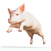Pig Snort Sound icône