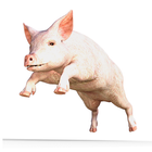 Pig Snort Sound ikona