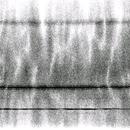 Radio Static Sound APK