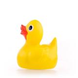 Rubber Duck Toy Sound ikona