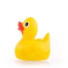 Rubber Duck Toy Sound Zeichen