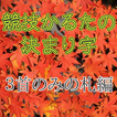 競技かるたの決まり字　３首のみの札編