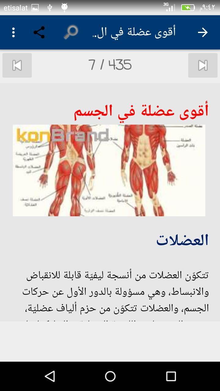 يخزن الغذاء في عضلات جسم الإنسان على صورة طاقة