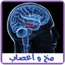 أمراض المخ والأعصاب APK