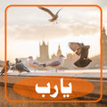 YA RAB by GHULAM MIRAAN