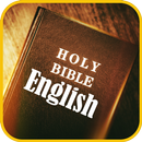 Holy Bible APK