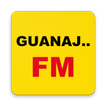 Guanajuato Radio FM AM Music