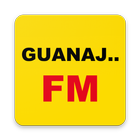 Guanajuato Radio FM AM Music icône