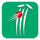 Cricket Scorer ícone