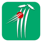 Cricket Scorer أيقونة