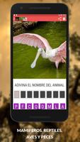 Animales – Aprende Los Mamiferos y Aves captura de pantalla 3