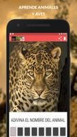 Animales – Aprende Los Mamiferos y Aves screenshot 1