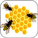 Imkerei lernen APK