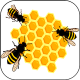 Apprendre l'apiculture APK