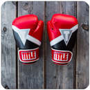 Learn boxing APK