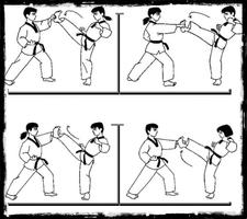Apprenez le taekwondo et le karaté capture d'écran 1