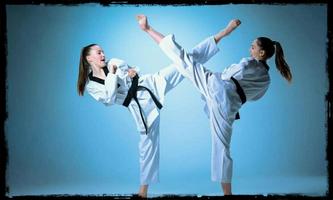 Apprenez le taekwondo et le karaté capture d'écran 2