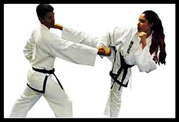 Learn Taekwondo Martial Arts Self Defense For Android Apk Download - taekwondo martial arts roblox