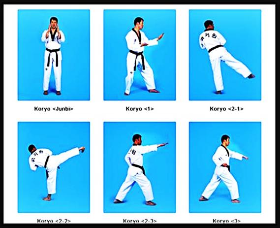 Learn Taekwondo Martial Arts Self Defense For Android Apk Download Learn Taekwondo Martial Arts Self Defense For Android Apk Download