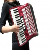 Apprenez à jouer de l'accordéon facilement Affiche
