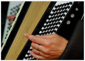 Learn how to play accordion online ภาพหน้าจอ 1