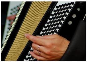 Learn how to play accordion online Ekran Görüntüsü 1