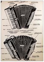 Learn how to play accordion online captura de pantalla 2