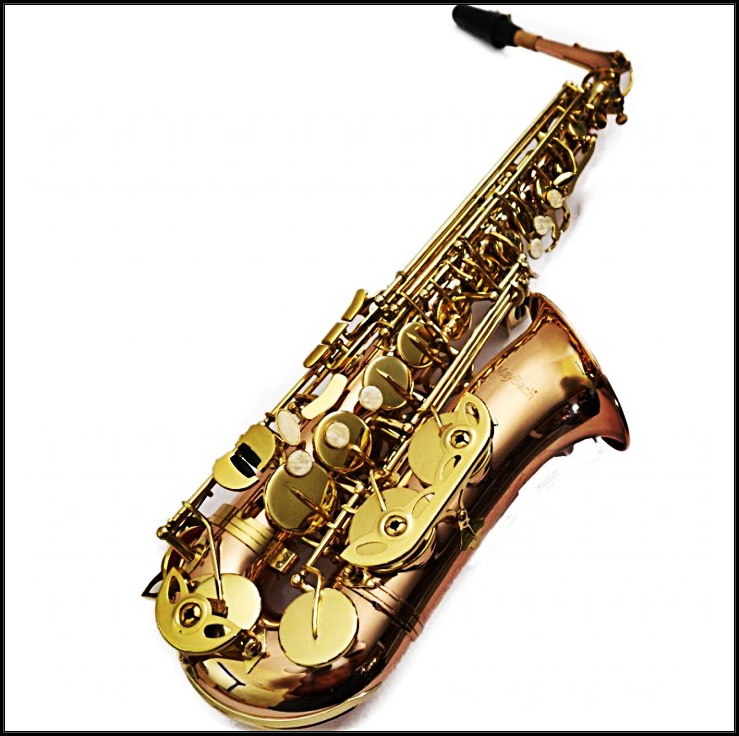 Lernstunden Saxophon Spielen Fur Android Apk Herunterladen