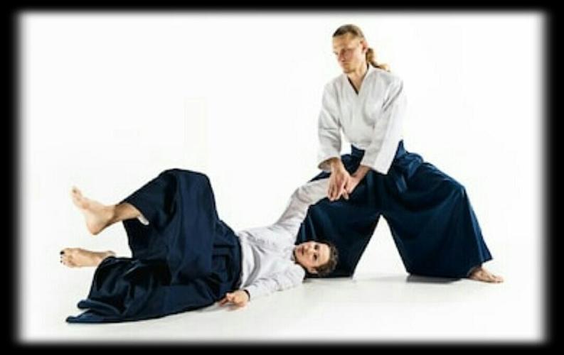 Aikido And Karate Exercises For Android Apk Download